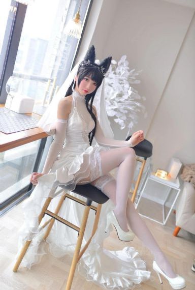猛龙神探 电影_高清免费观看视频